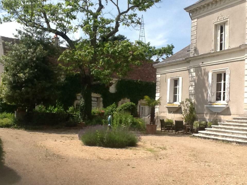 Chateau De La Chaise Bed and Breakfast Chissay-en-Touraine Exterior foto